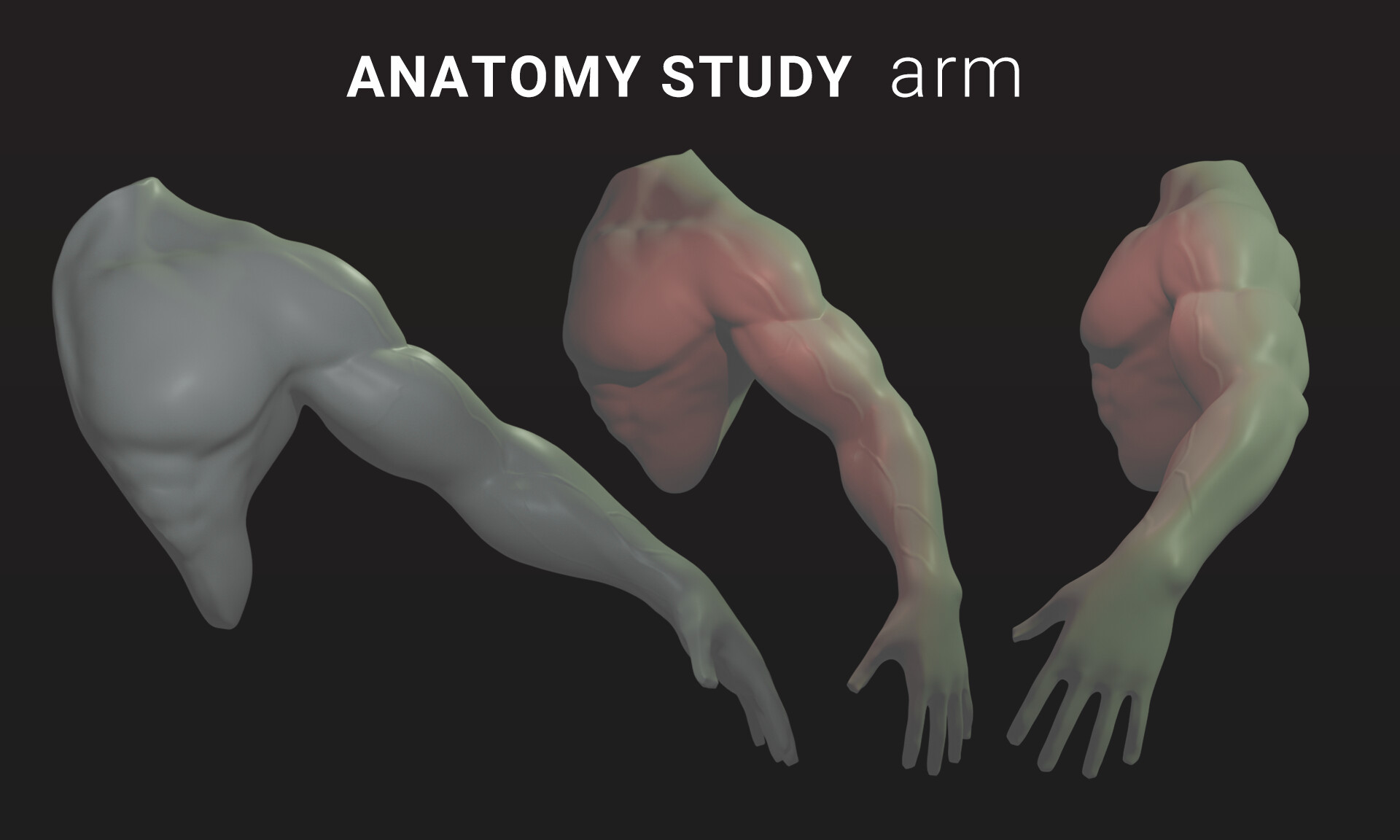ArtStation - Arm Study