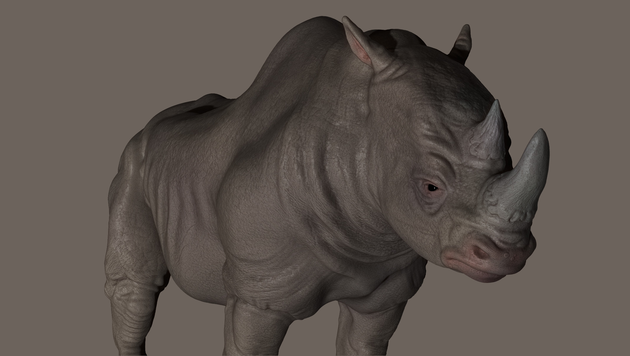 Front view of the High poly model.
