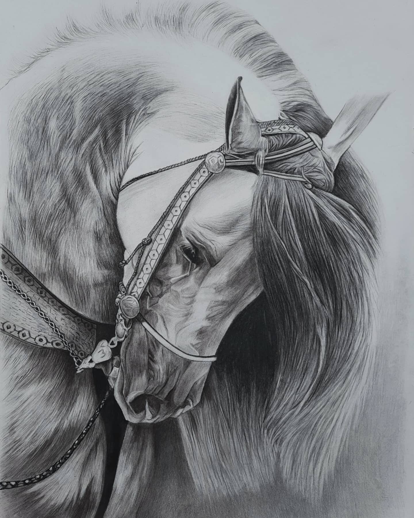 Artstation - Charcoal Drawing Horse.