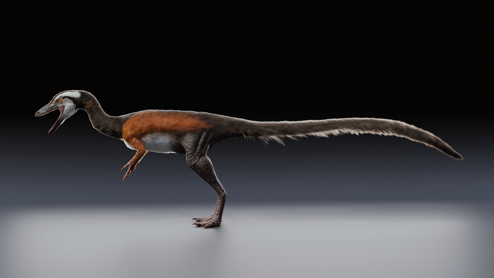compsognathus fossil for sale
