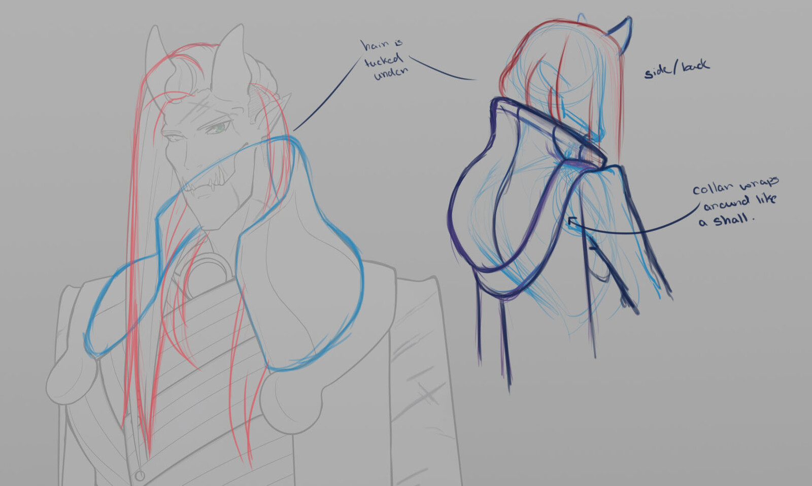 Little notes on the hair and collar