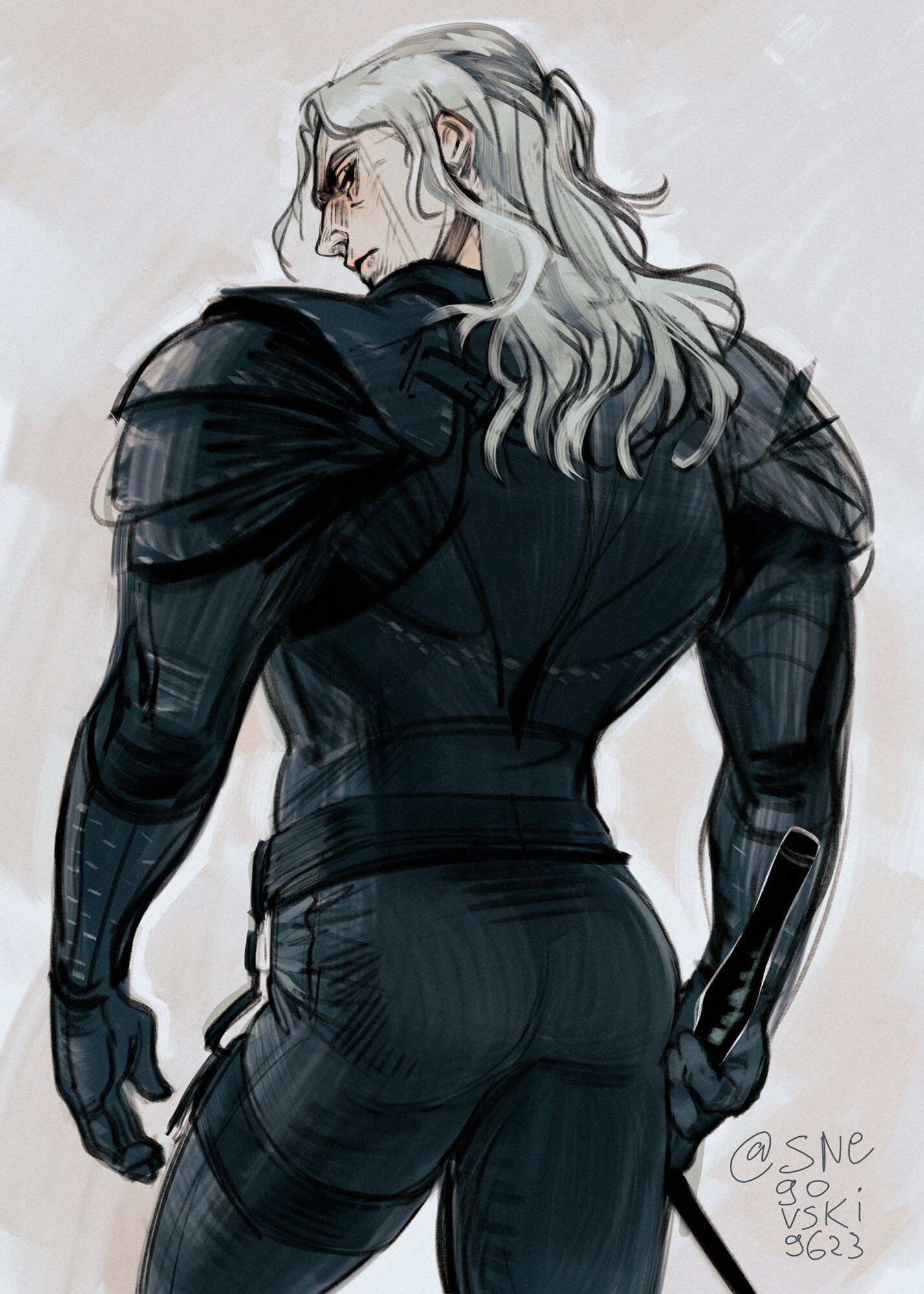 Snegovski _ - StupidSexyWitcher