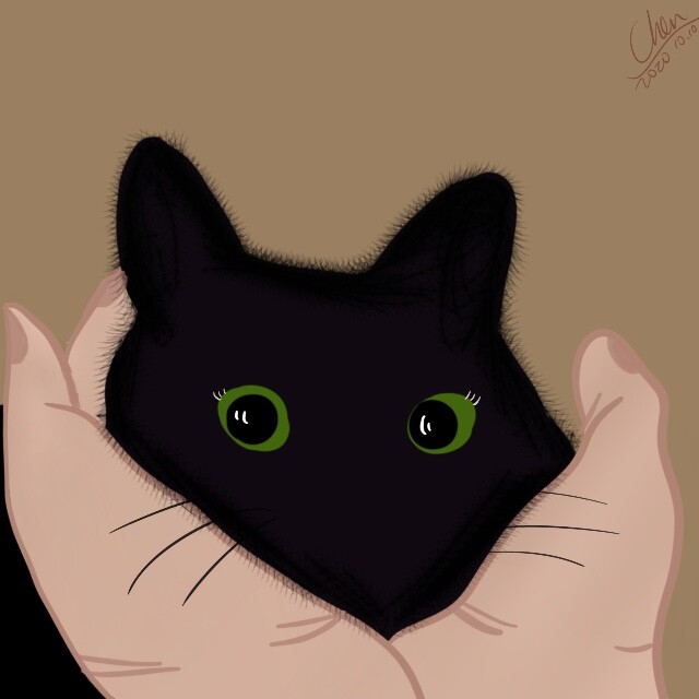 秋叶 可爱小黑猫