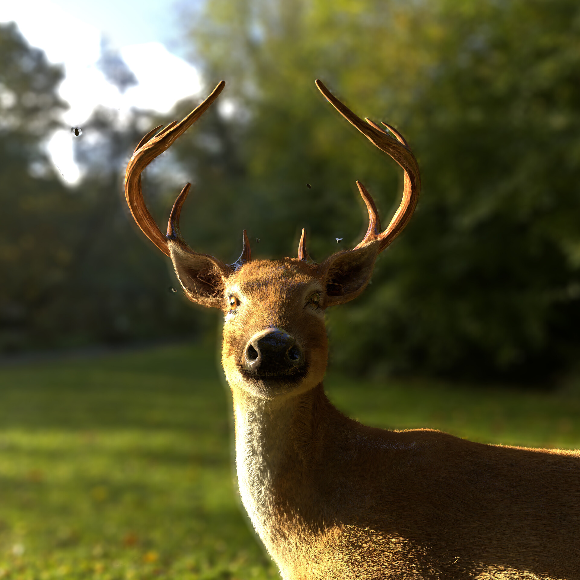 ArtStation Dear Dear ArtStation Dear Dear