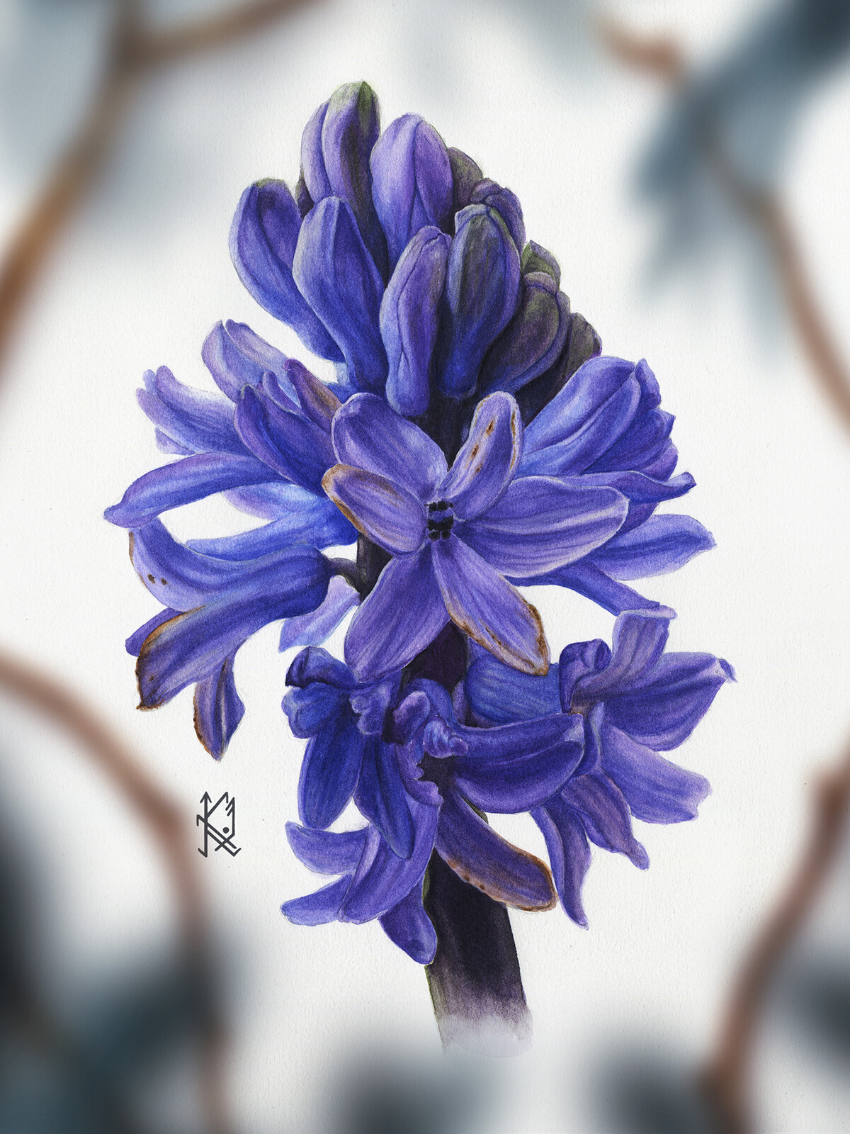 On white background.