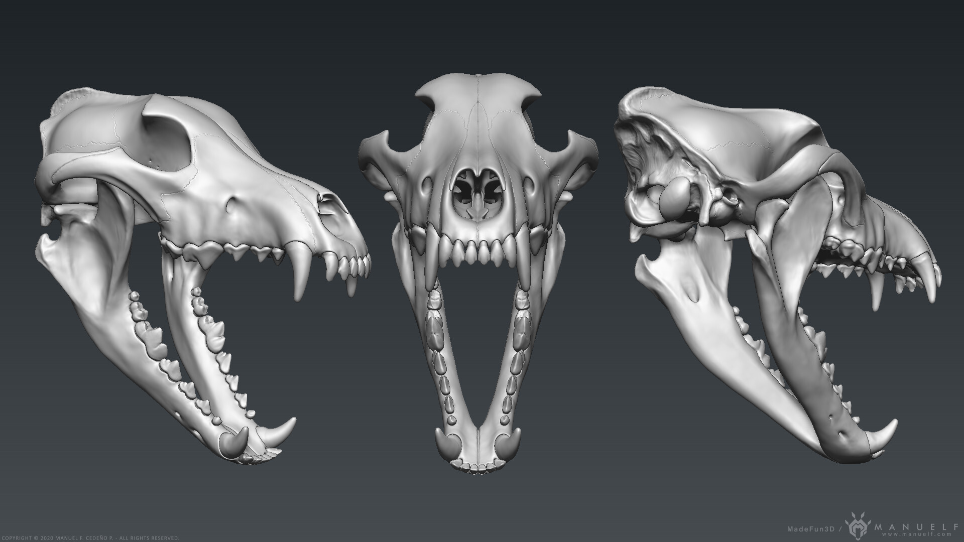 Manuel f cede o wolf skull sculpture