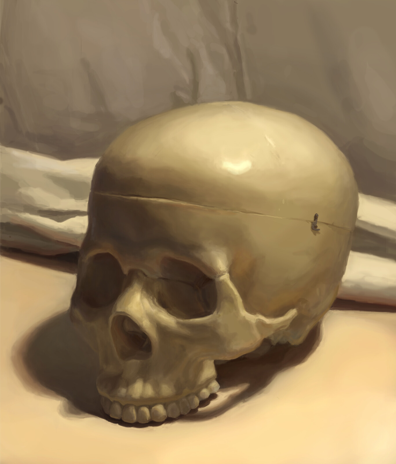 Still Life: Replica Skull
