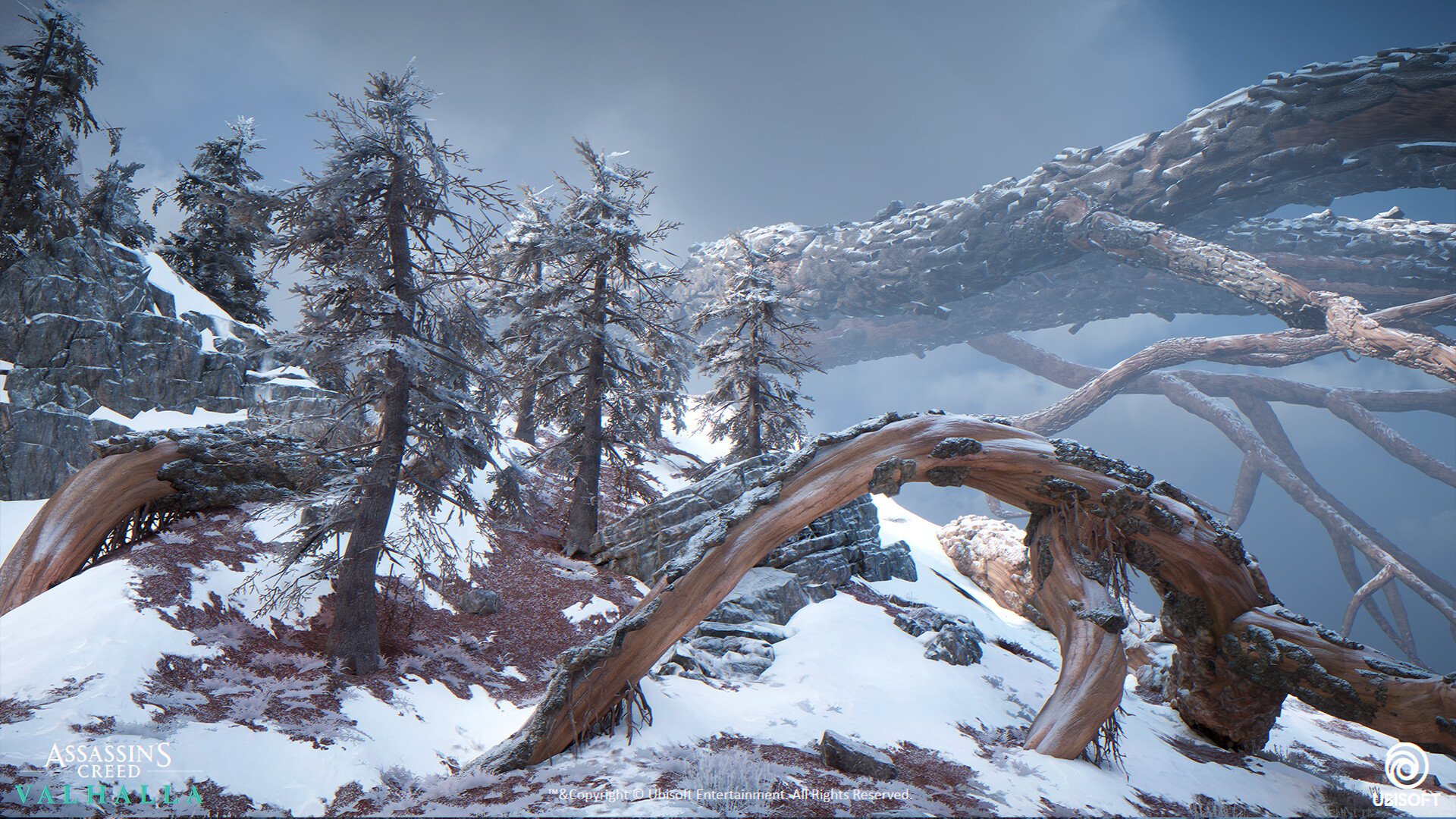 Tsvetelina Valkanova Assassin's Creed Valhalla Jotunheim Roots