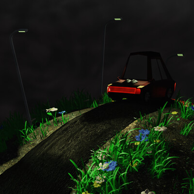 Car in the night
