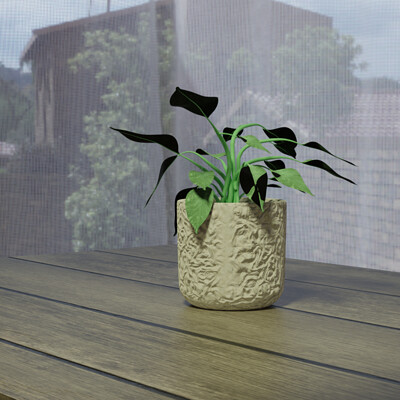 Houseplant