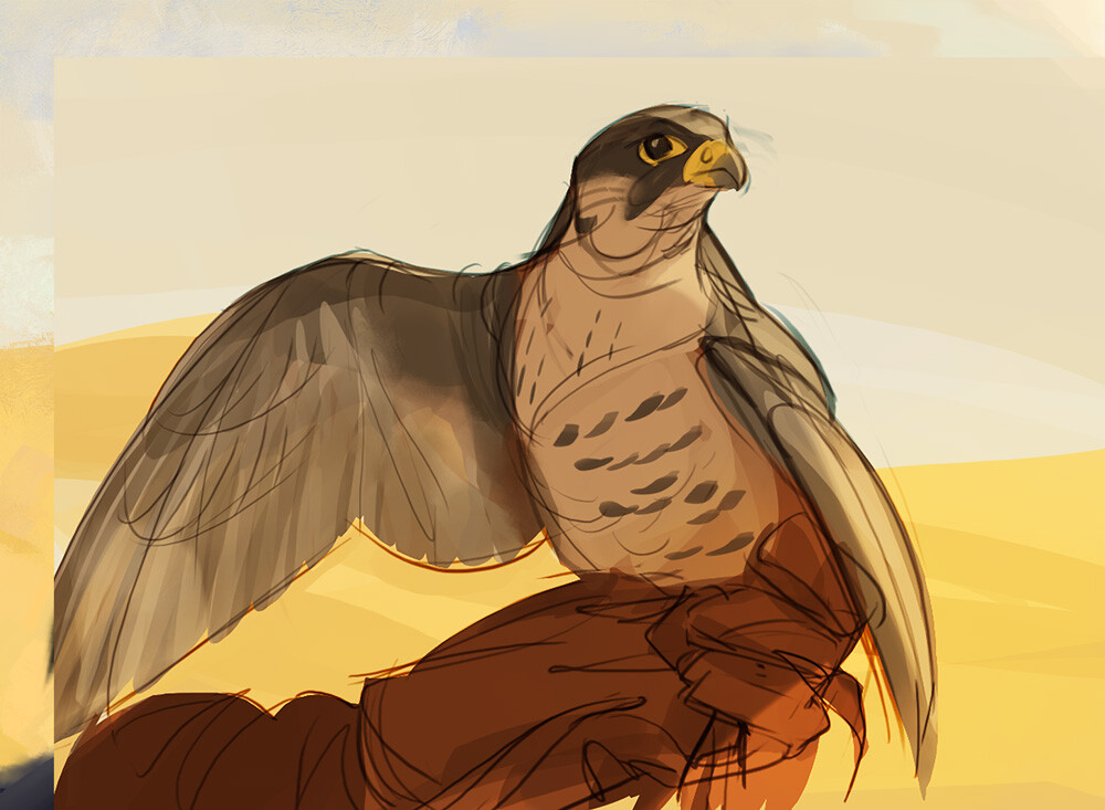 Falcon sketch