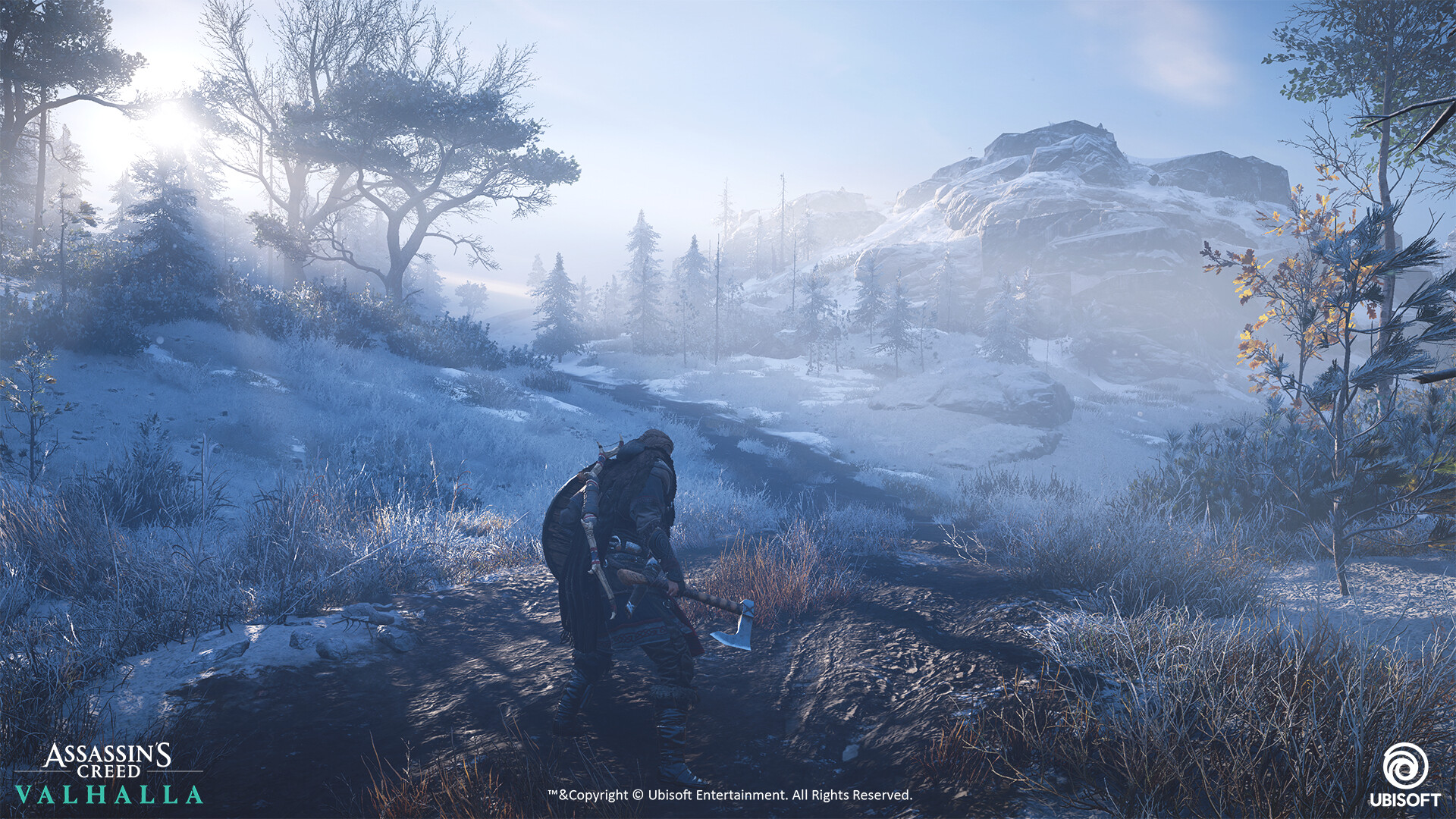 Assassins creed valhalla картинки