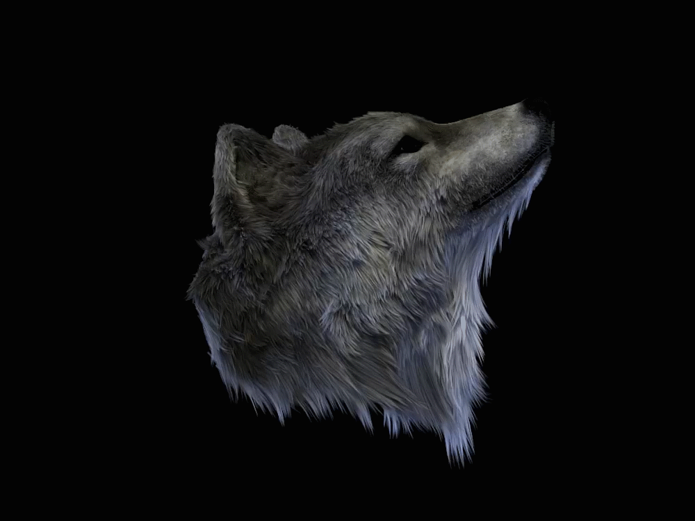 I did the fur with Hair-Farm plugin in 3ds max.