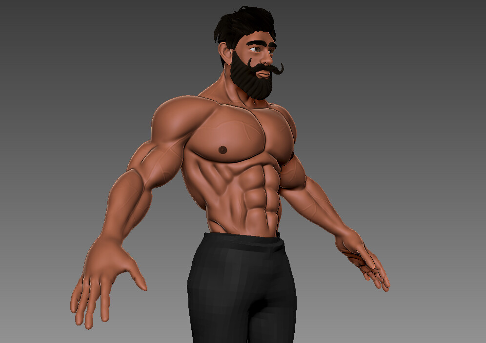 Torso
