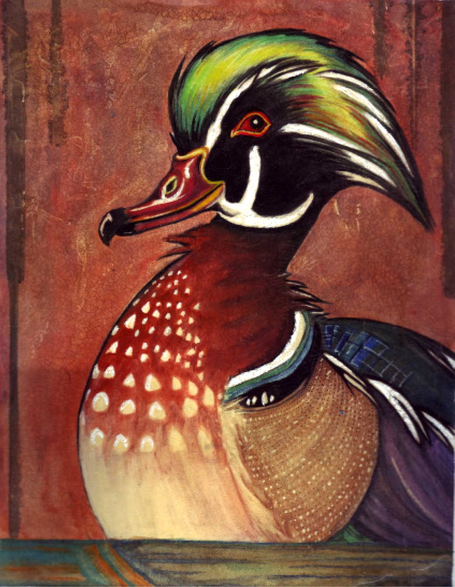ArtStation - Wood Duck
