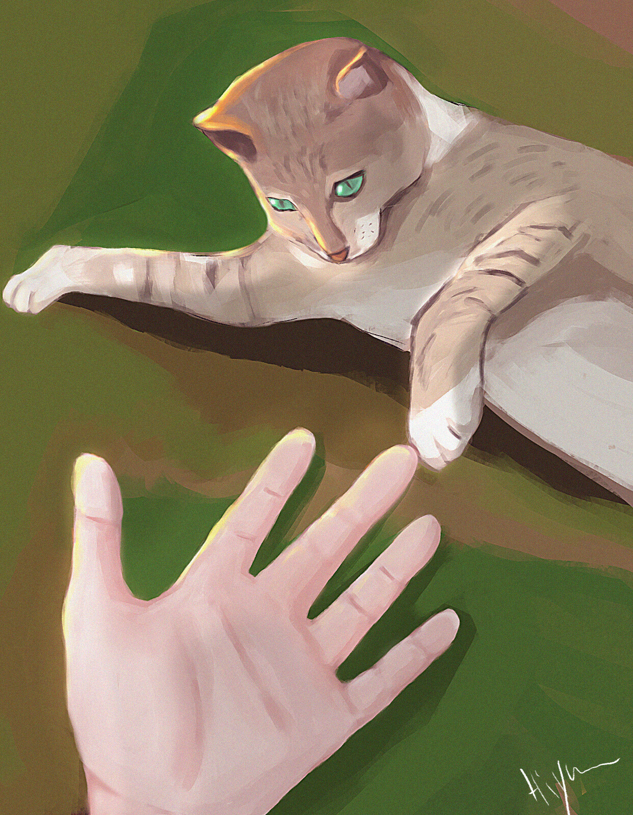 Houyem Saadani Random Cat