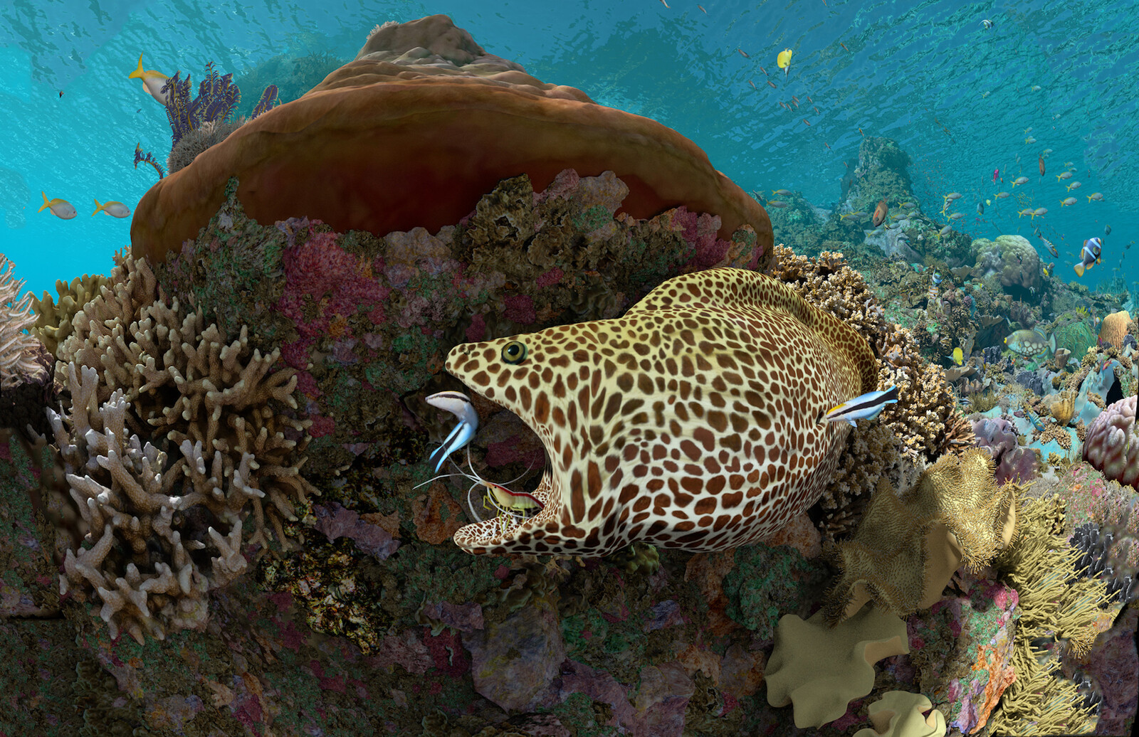 Expedition Reef: California Academy of Science: Morrison Planetarium