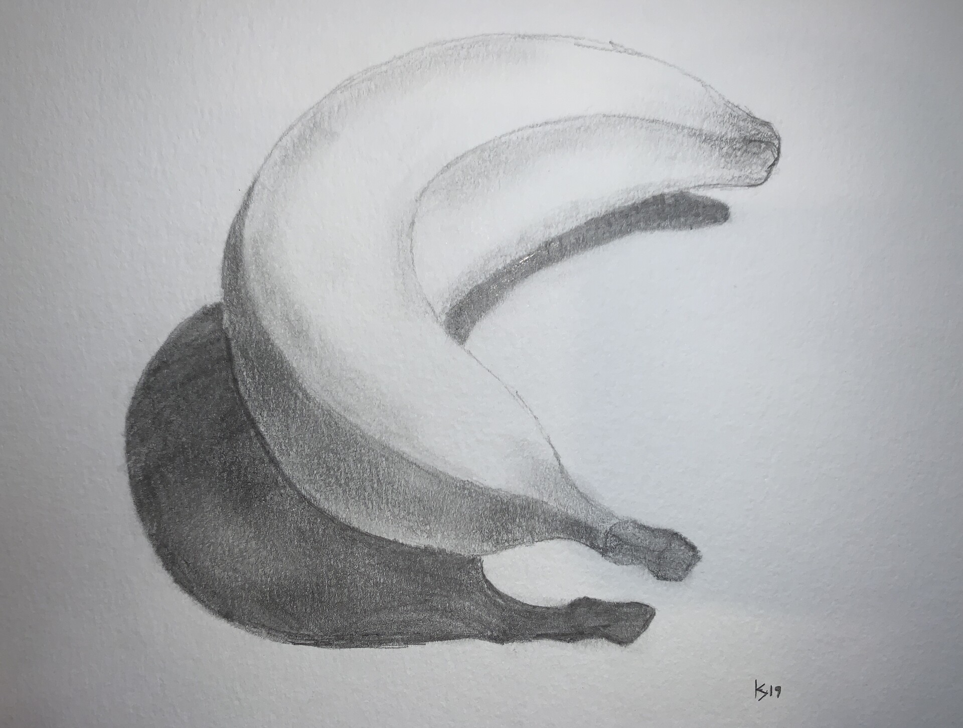 How to Draw a Banana - With the Skin and Peeled