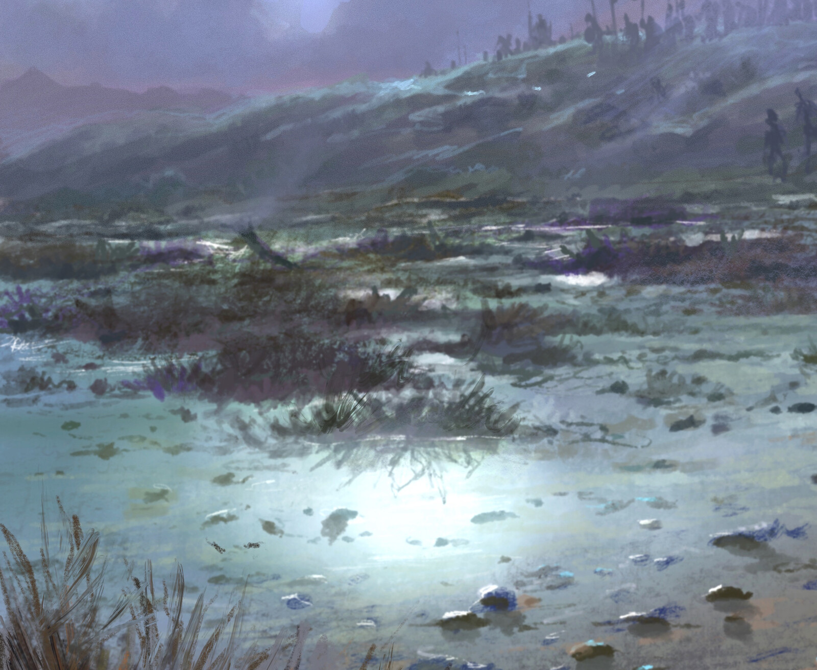 the swamp