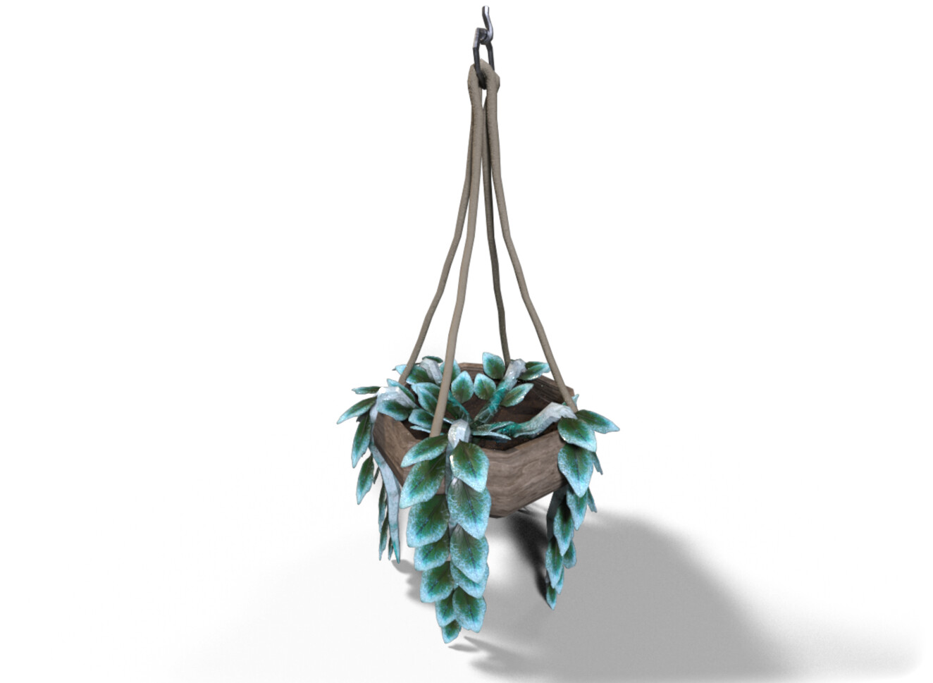 Full shot, hanging plant 1