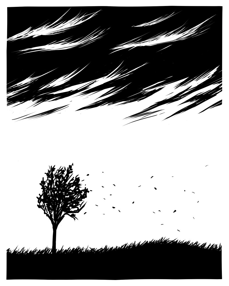 "windy"