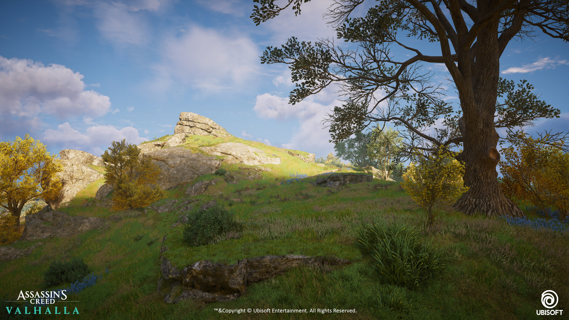 ArtStation - Assassin's Creed Valhalla : England Pastures