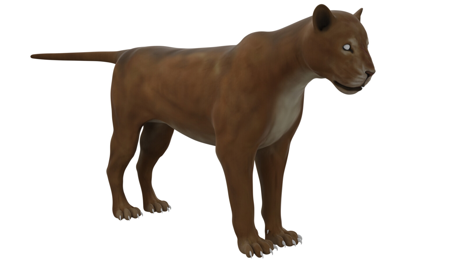 Coloured render.