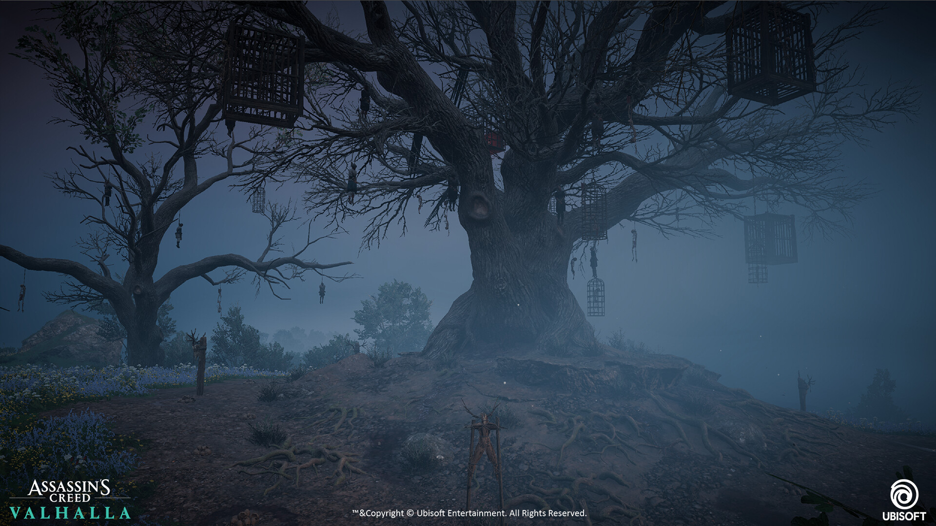 Juanlu Pinto AC Valhalla Cursed symbols, Hallucinogenic Mushrooms