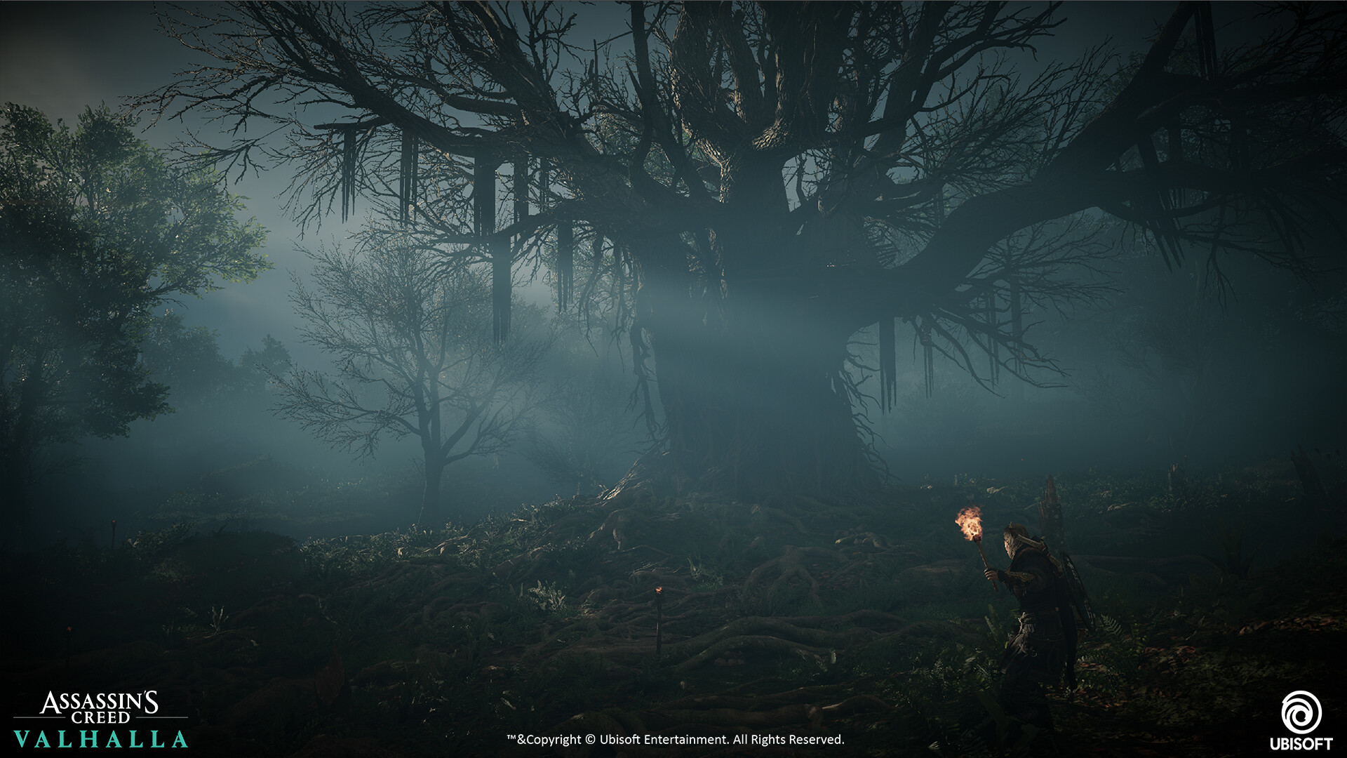 Juanlu Pinto AC Valhalla Cursed symbols, Hallucinogenic Mushrooms