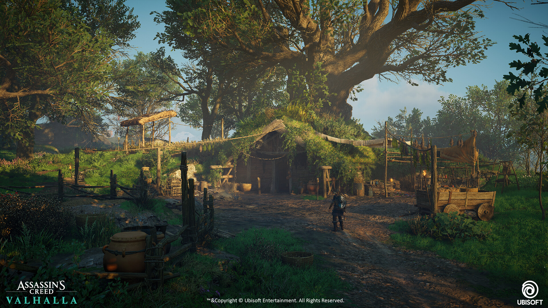 Juanlu Pinto AC Valhalla Cursed symbols, Hallucinogenic Mushrooms