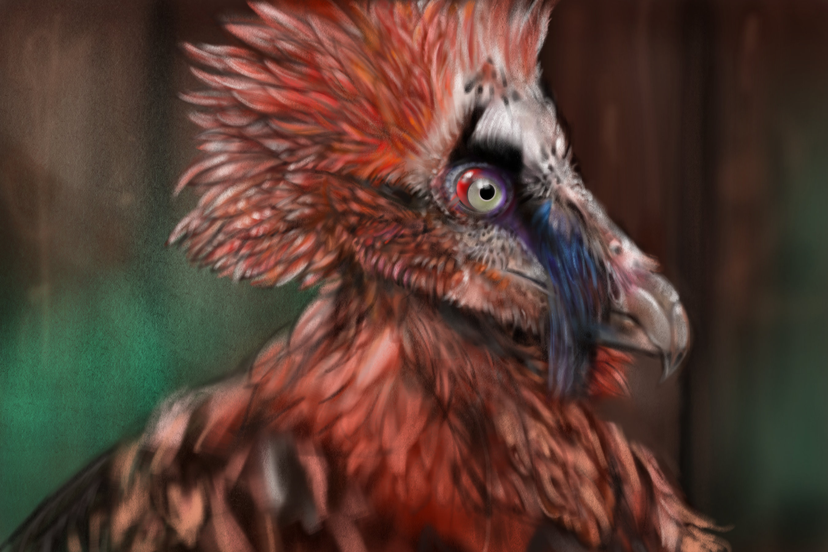 Bearded Vulture - SPCHQ - Drawings & Illustration, Animals, Birds, & Fish,  Birds, Vultures - ArtPal