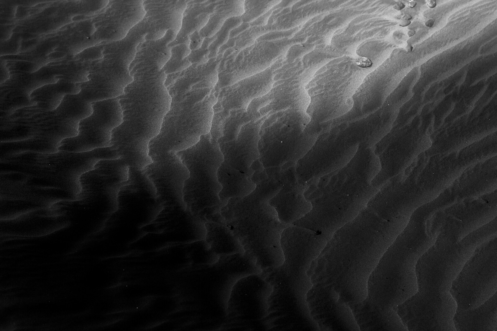 3 // Another Place // 

"When they arrived ... there was just silence and silence remained."

Image GC2023_CAM01_SD03_00021.tif
