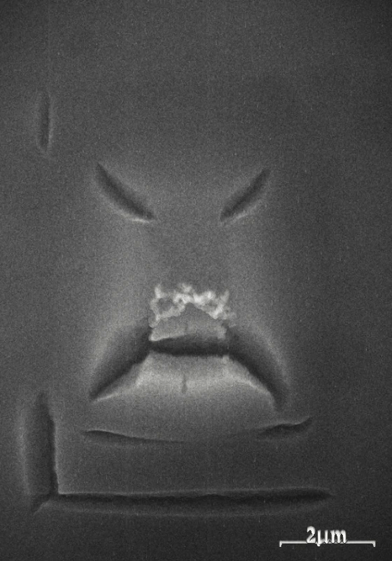 Parallax gif: organic polymer
Natural depthmap taken straight from photo