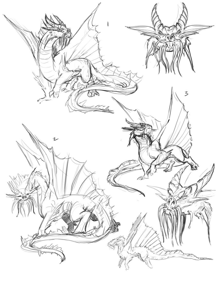 Gold Dragon Sketches