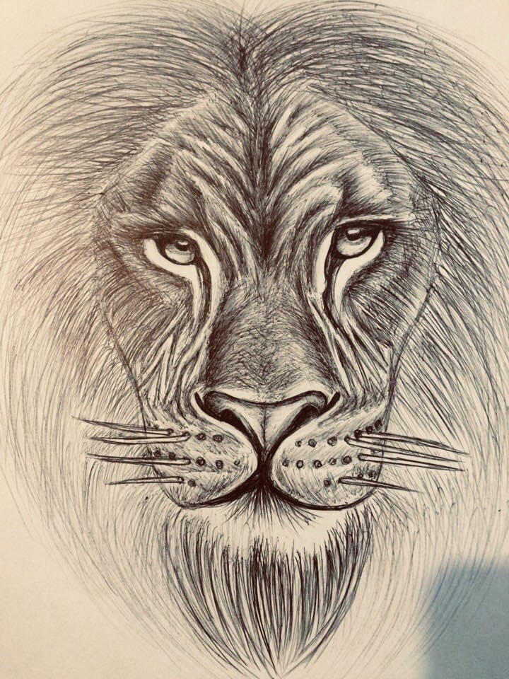 sebastian cervera lion made with pen