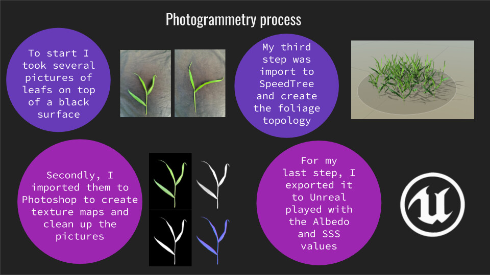 Photogrammetry process
