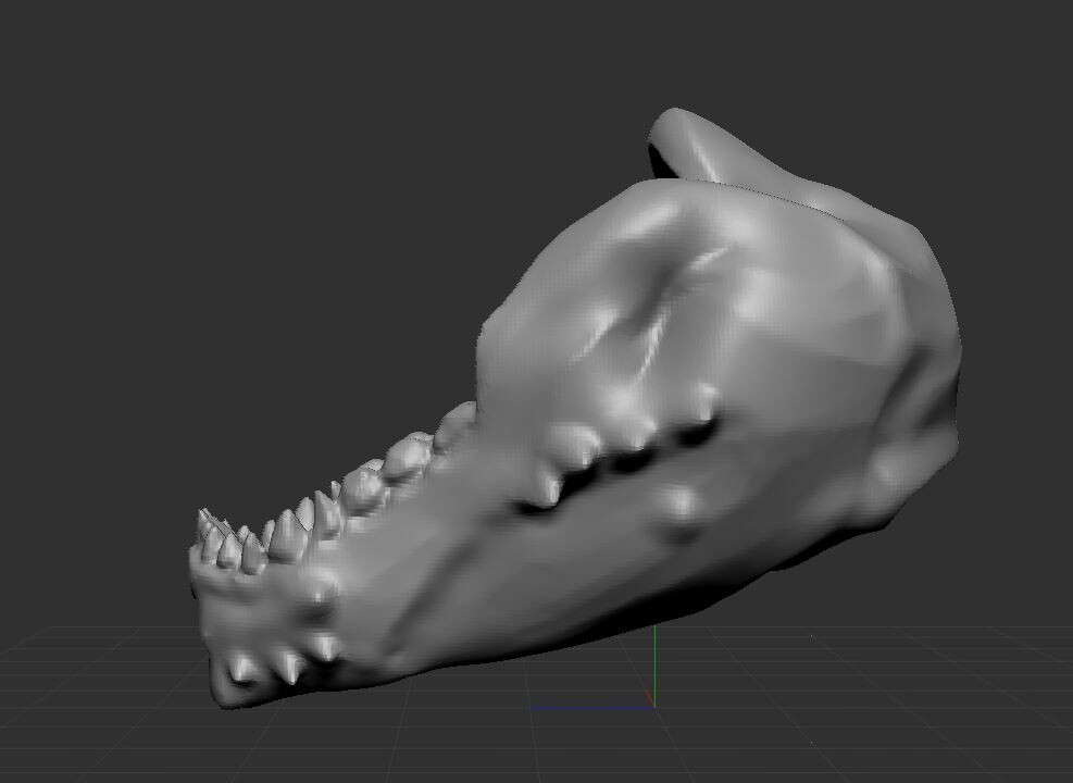 Session 2: Lower Jaw Sculpt - Base 128 sphere