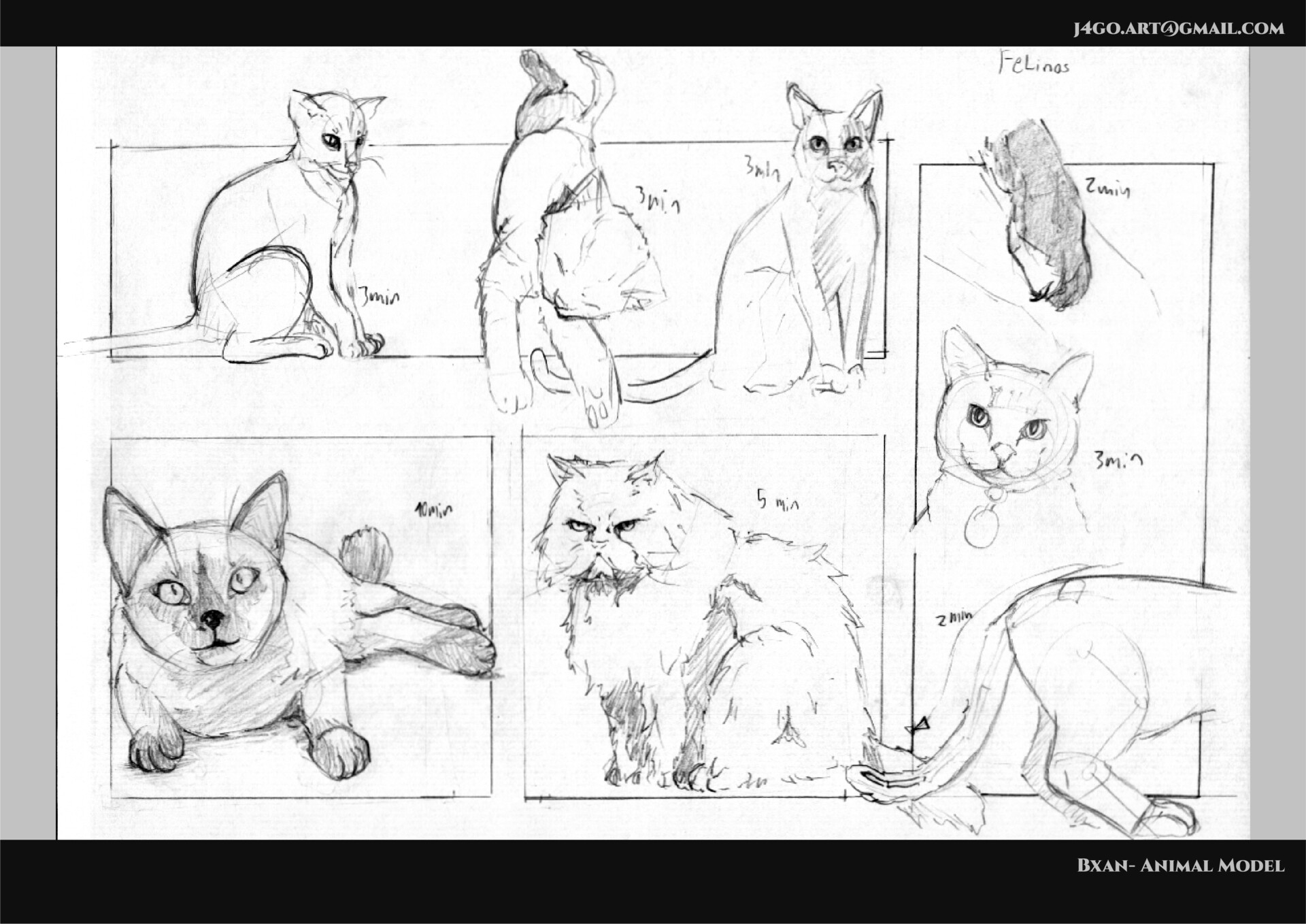 ArtStation - Some animal drawing practice