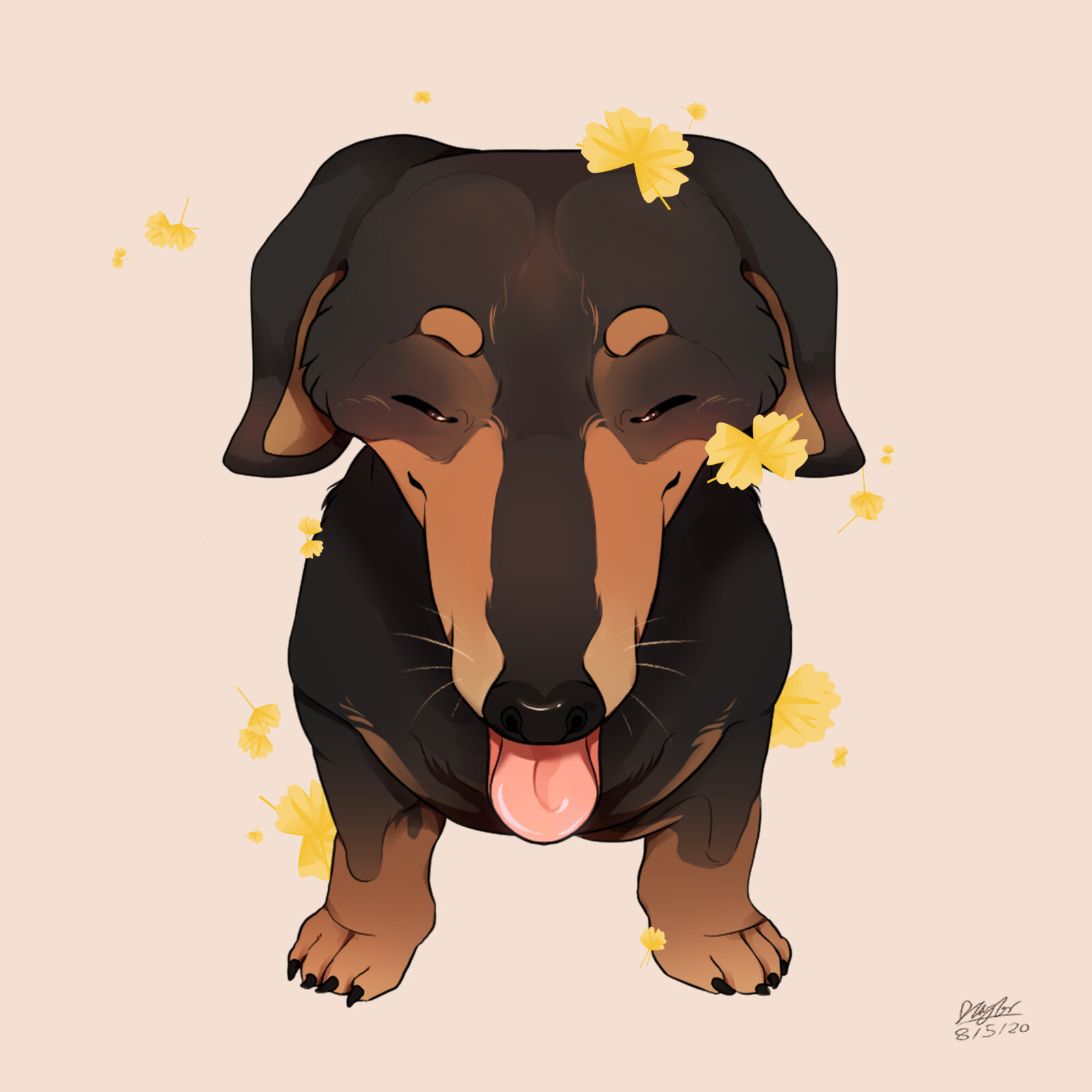 Semi-Realistic Dog