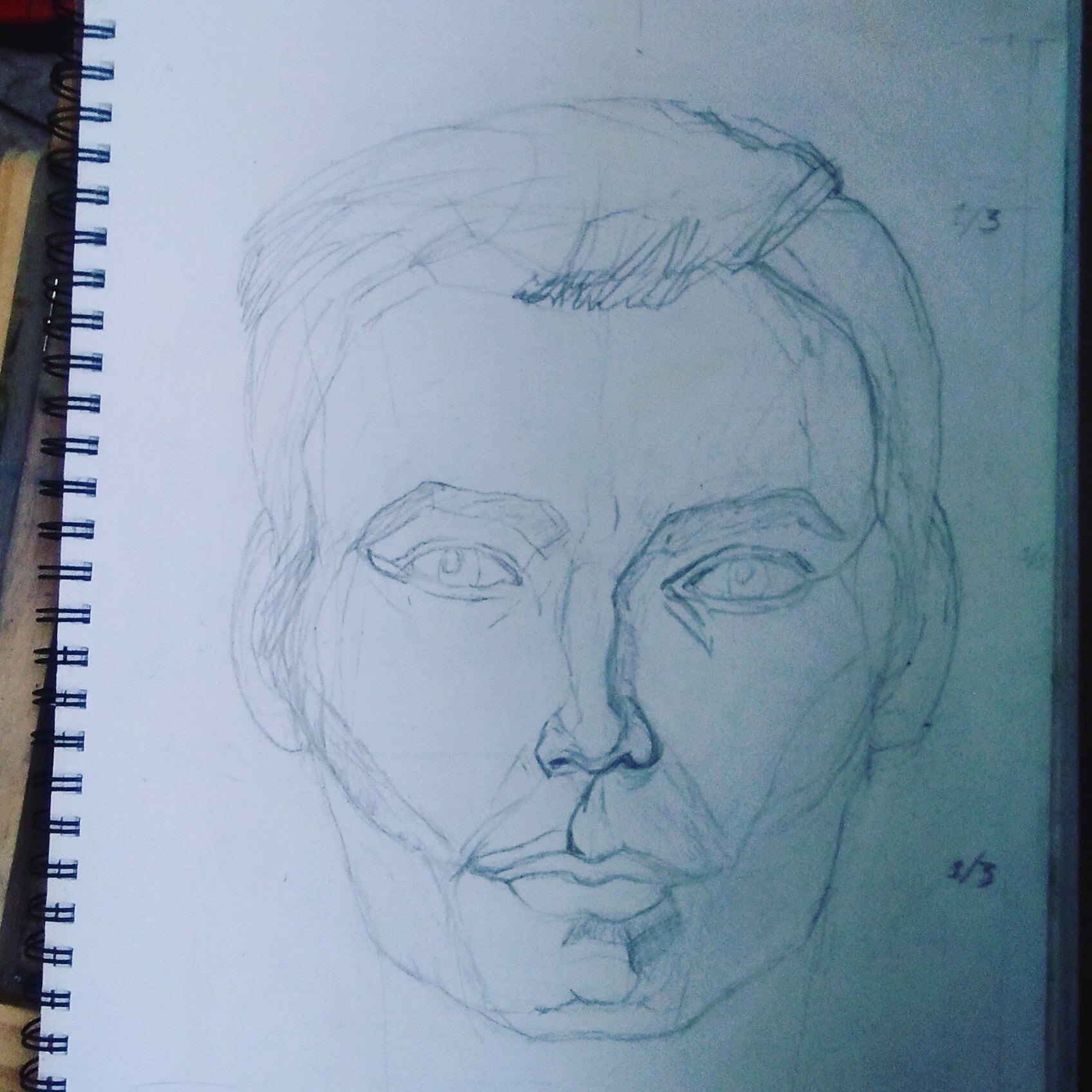 Pencil Sketch Face - Etsy Denmark