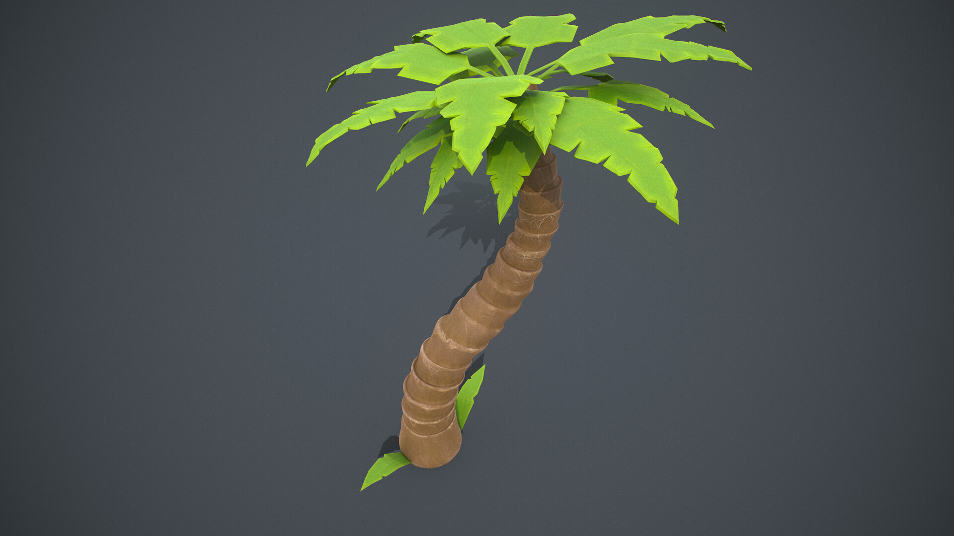 pix Palm Tree Texture Stylized stylized palm tree alexis gomez