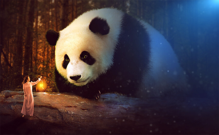 Night pandas. Доброй ночи Панда. Elle Panda. 3 Pandas Night.