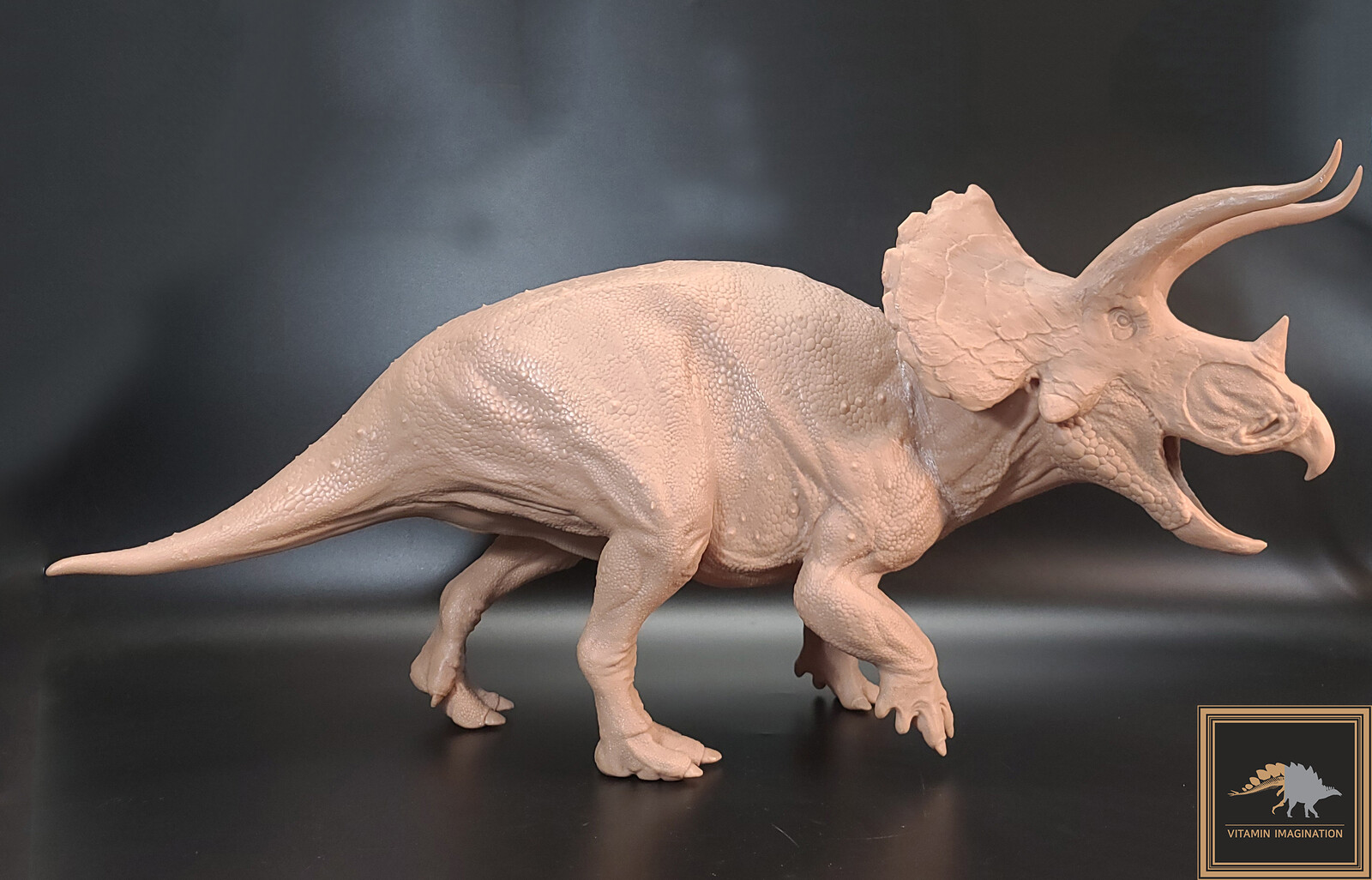 Printing: GLUCK
85cm long (spine Length 90cm long)