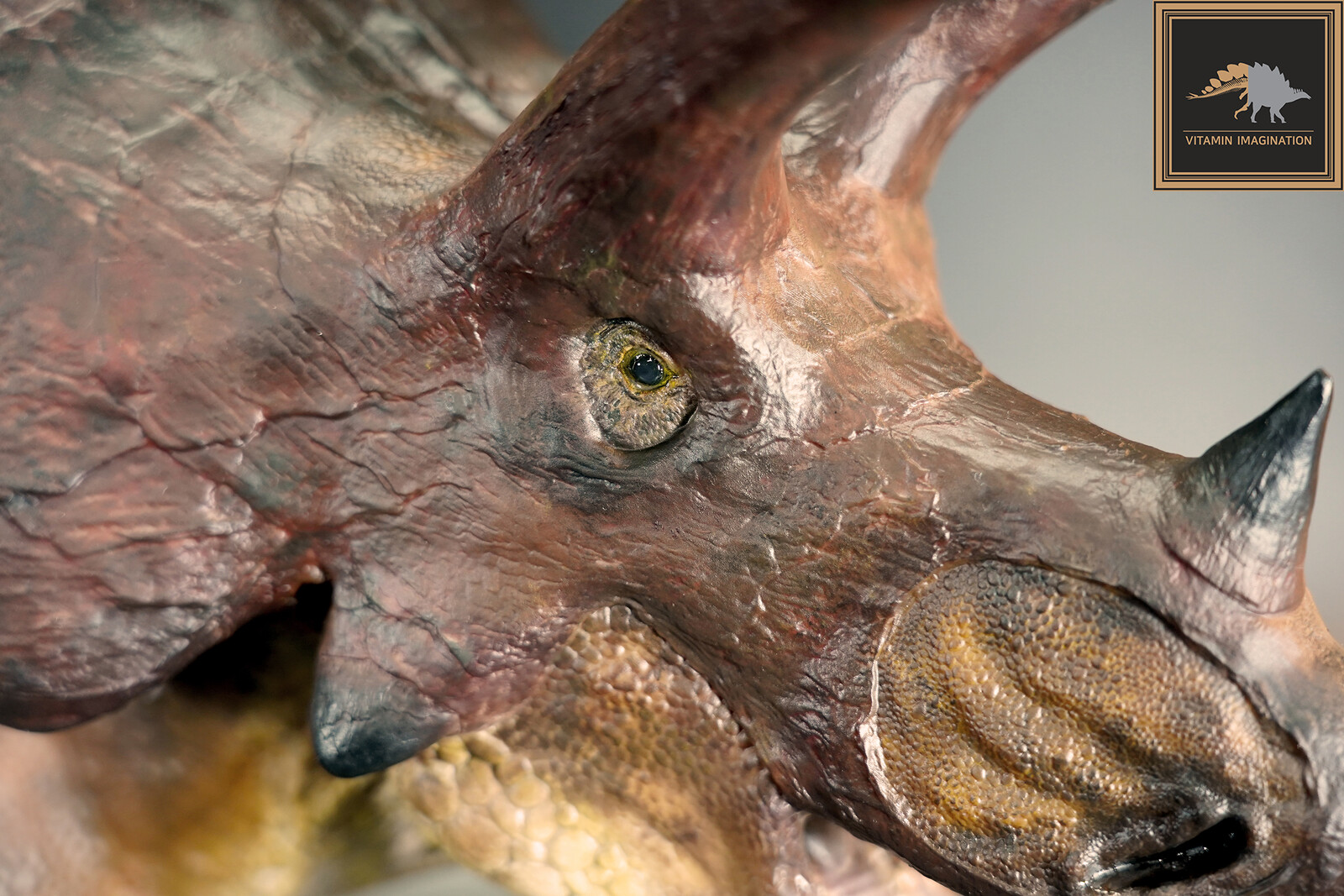 1:10 Triceratops 