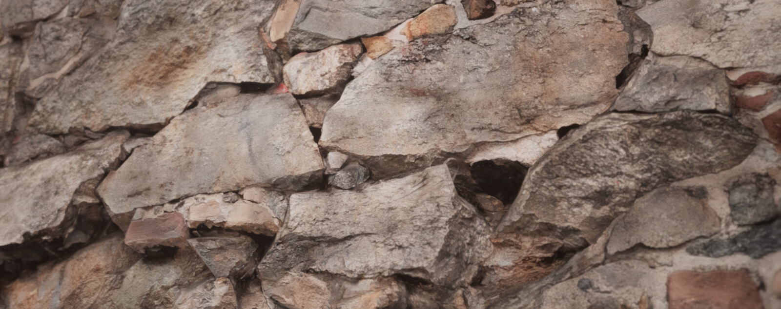 Photogrammetry Asset