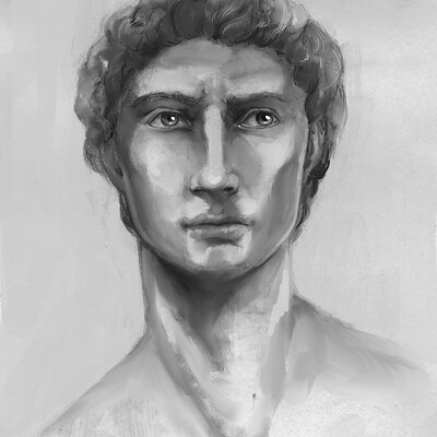 David - studies