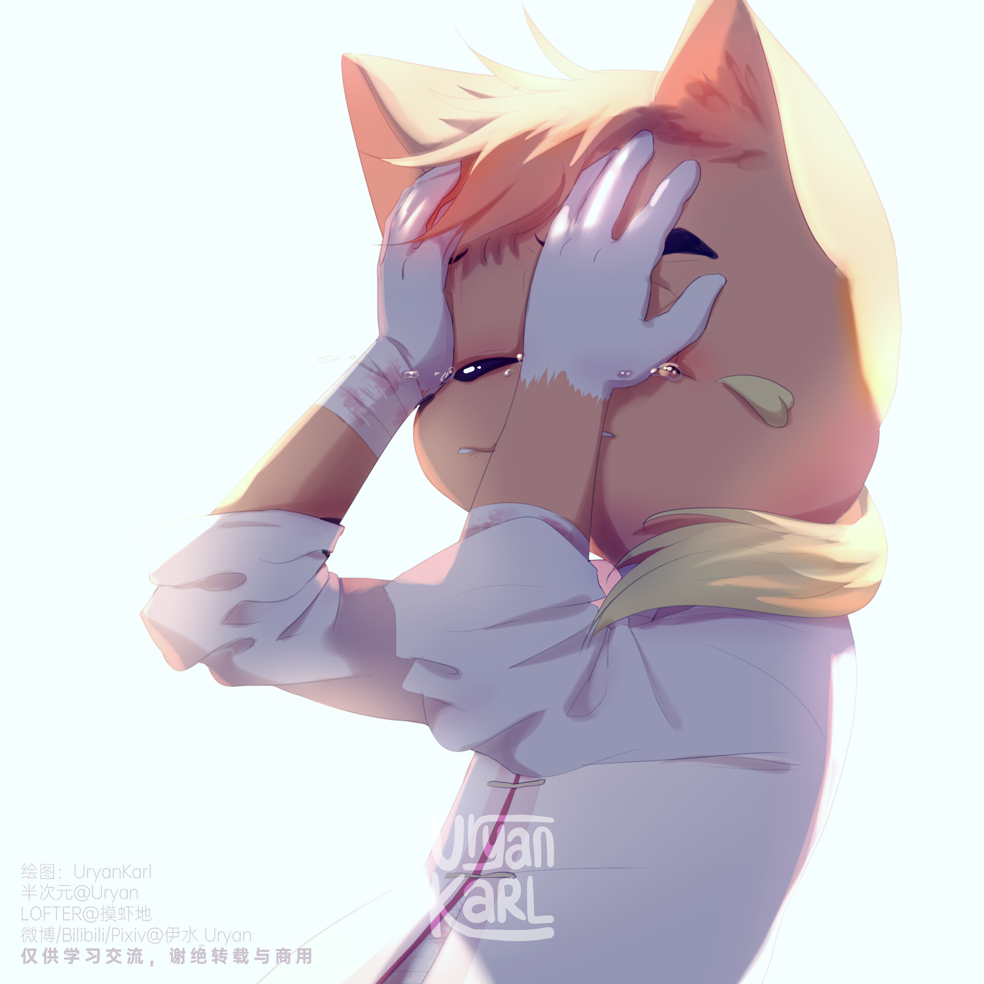 UryanKarl - 【虹七】一些虹猫