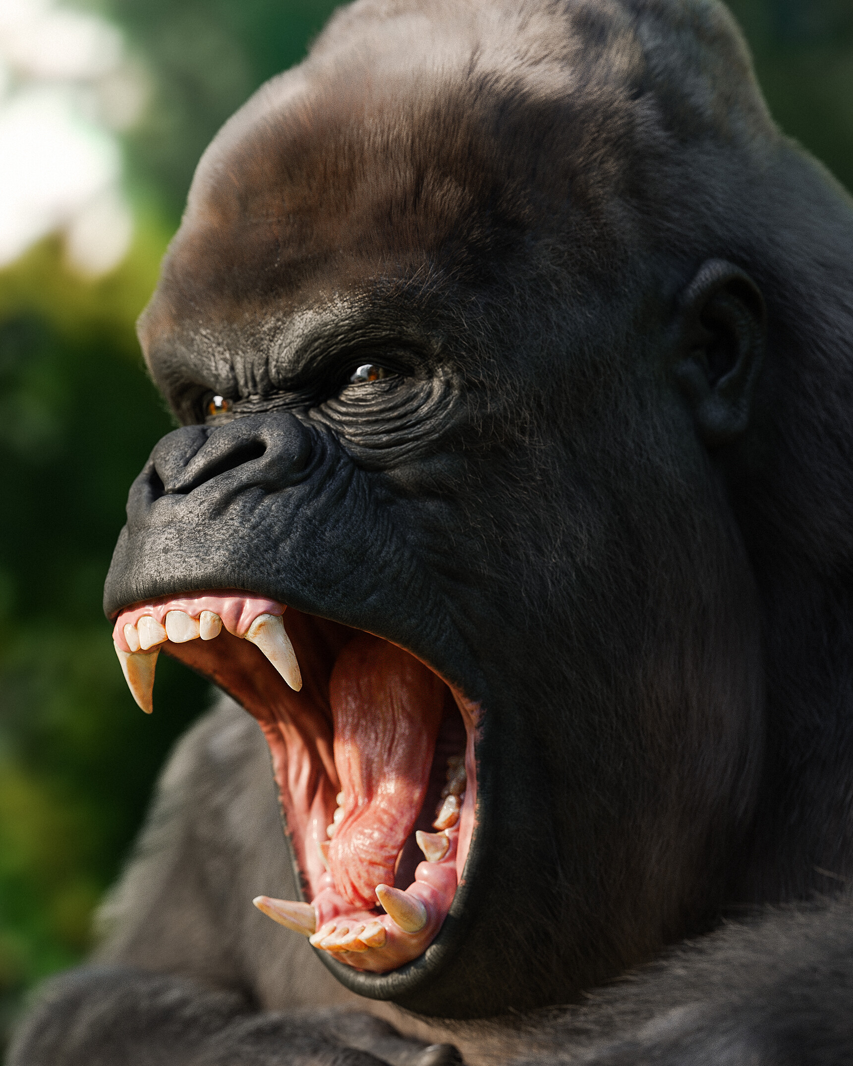 Manuel d onofrio angry gorilla