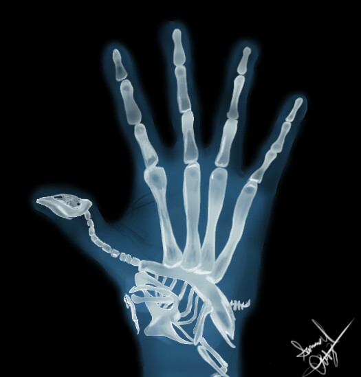 ArtStation Turkey Hand Skeleton
