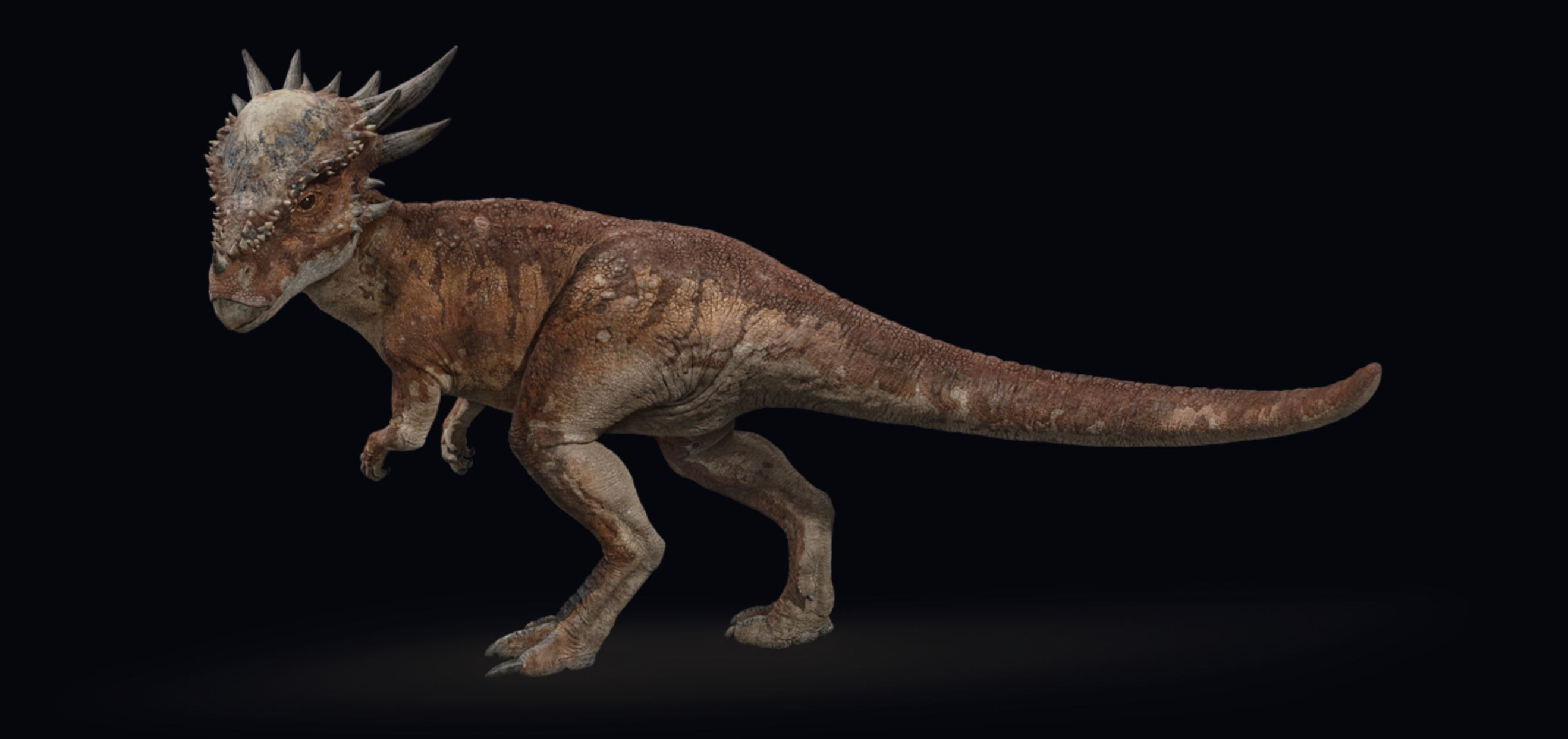 Stygimoloch marketing images( found in the net)